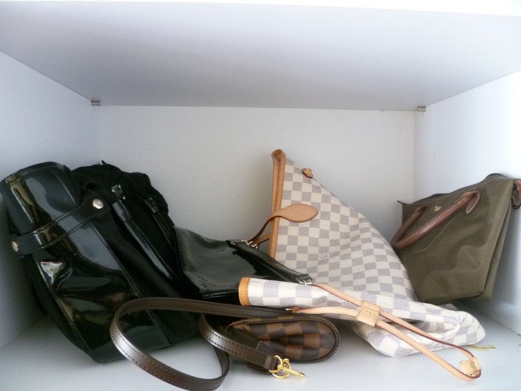 Be warned before buying Purse Organizer for Closets | CloverSac